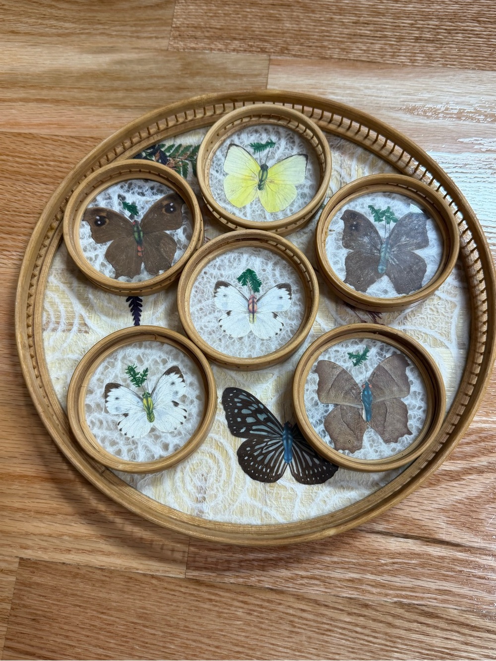 vintage bamboo butterfly coaster set